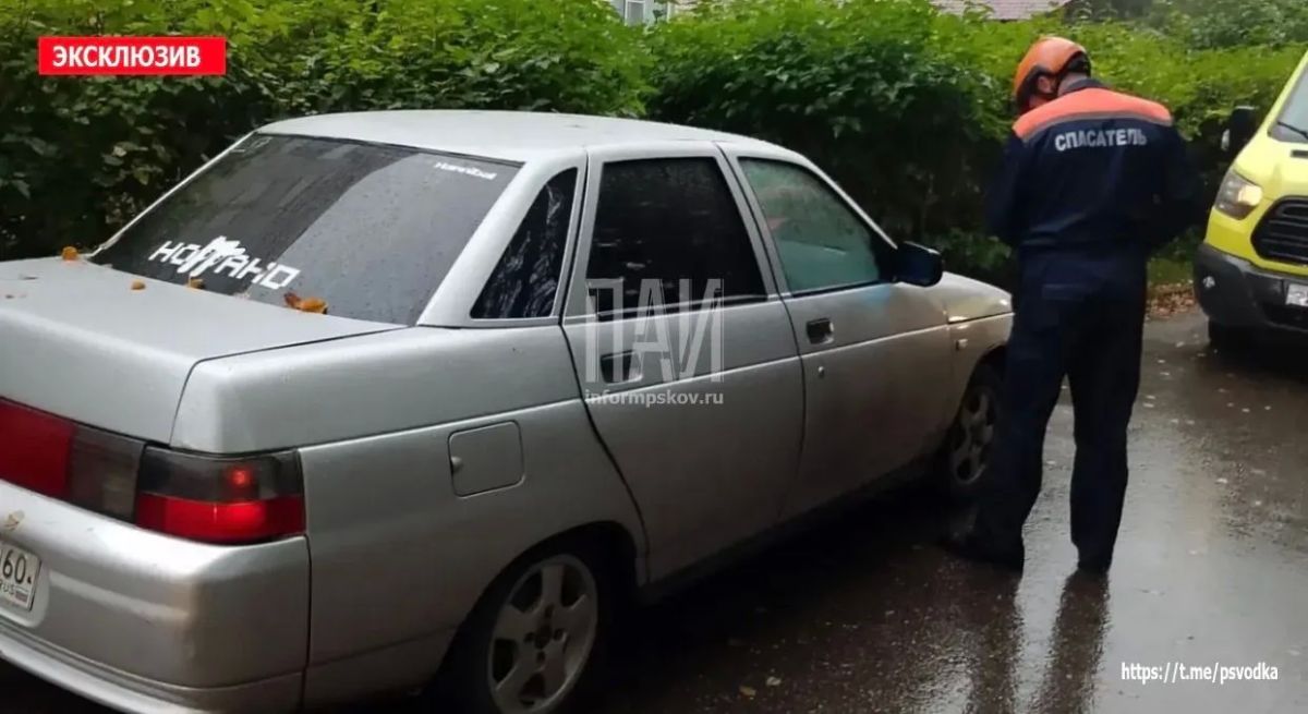 Водитель автомобиля ВАЗ-2110 наехал на пешехода у общежития в посёлке Нагорном Великолукского района
