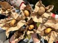 С песней у костра: в Себеже съели 200 кг печеной картошки