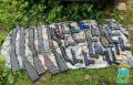 Более 1700 боеприпасов изъяли полицейские в ходе операции "Арсенал" в Псковской области