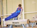 Российские гимнасты Варвара Белова, Матвей Акиньшин, Тимофей Акиньшин, Илья Заика и Алексей Ростов вошли в число участников турнира World Challenge Cup, который пройдет в Париже 26 и 27 сентября