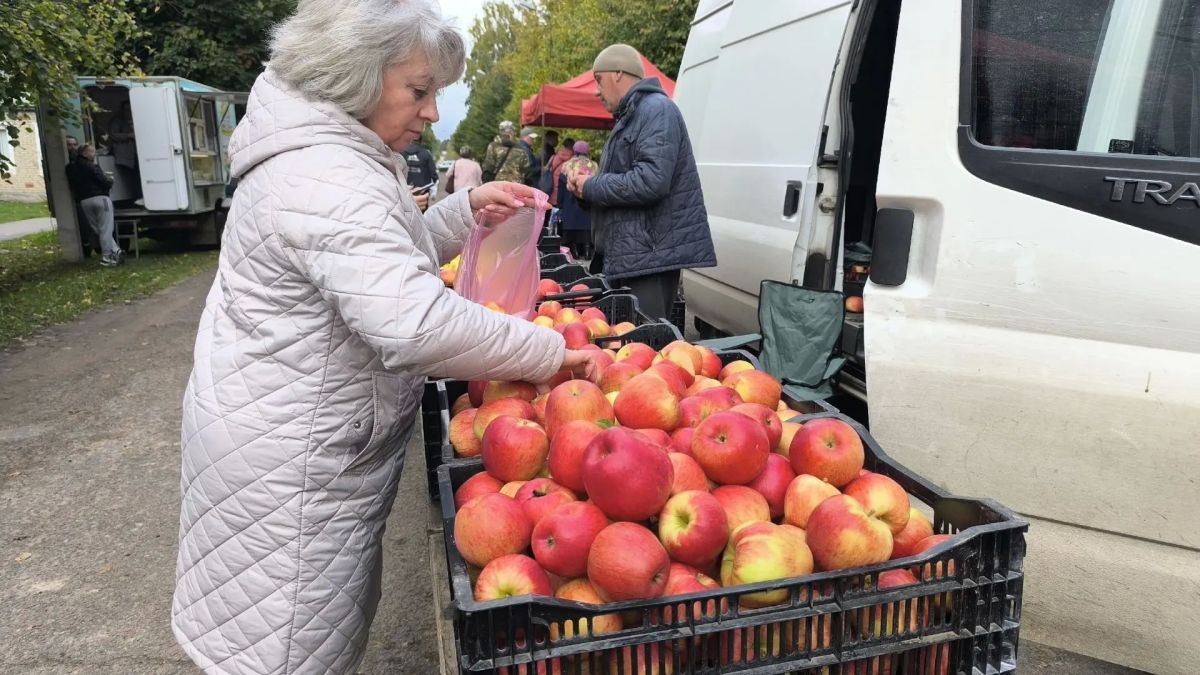 Сельскохозяйственные ярмарки проходят в муниципалитетах Псковской области Сельскохозяйственные ярмарки проходят в муниципалитетах Псковской области