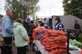 Традиционная осенняя сельскохозяйственная ярмарка развернулась на ярмарочной площадке в Порхове