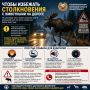Чтобы избежать столкновения с животными на дороге