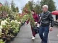 Осенняя сельскохозяйственная ярмарка проходит в Плюссе