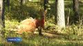 После долгой дороги хочется одного — скорее оказаться в номере