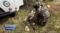 Сводка чрезвычайных происшествий