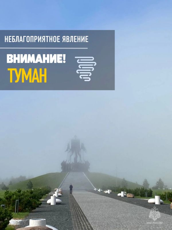 МЧС России предупреждает: на территории Псковской области ожидается туман
