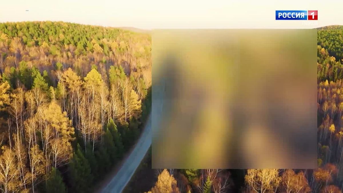 Прогноз погоды в Псковской области на 7 октября