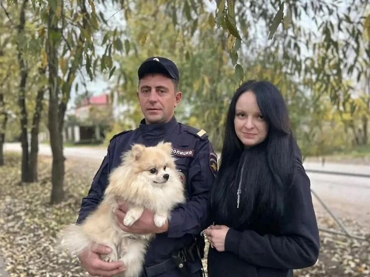 Герой в погонах: великолукский полицейский спас маленького шпица от огромной овчарки
