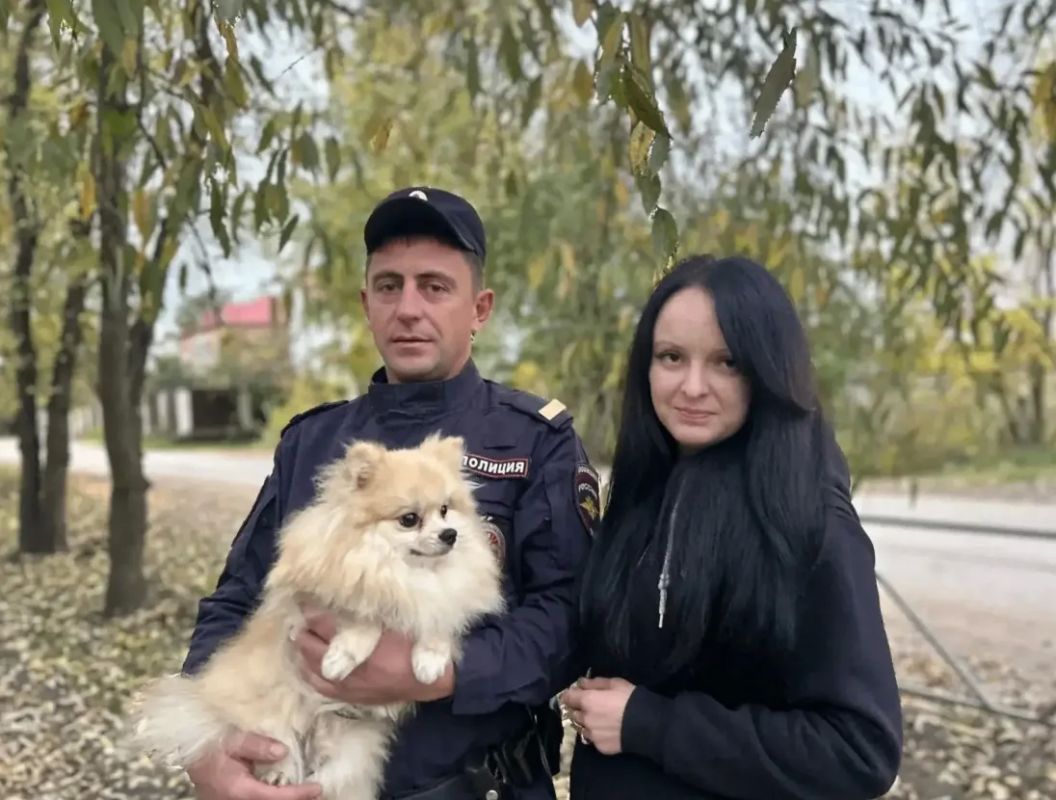 Полицейский спас шпица Винсента от овчарки в Великих Луках