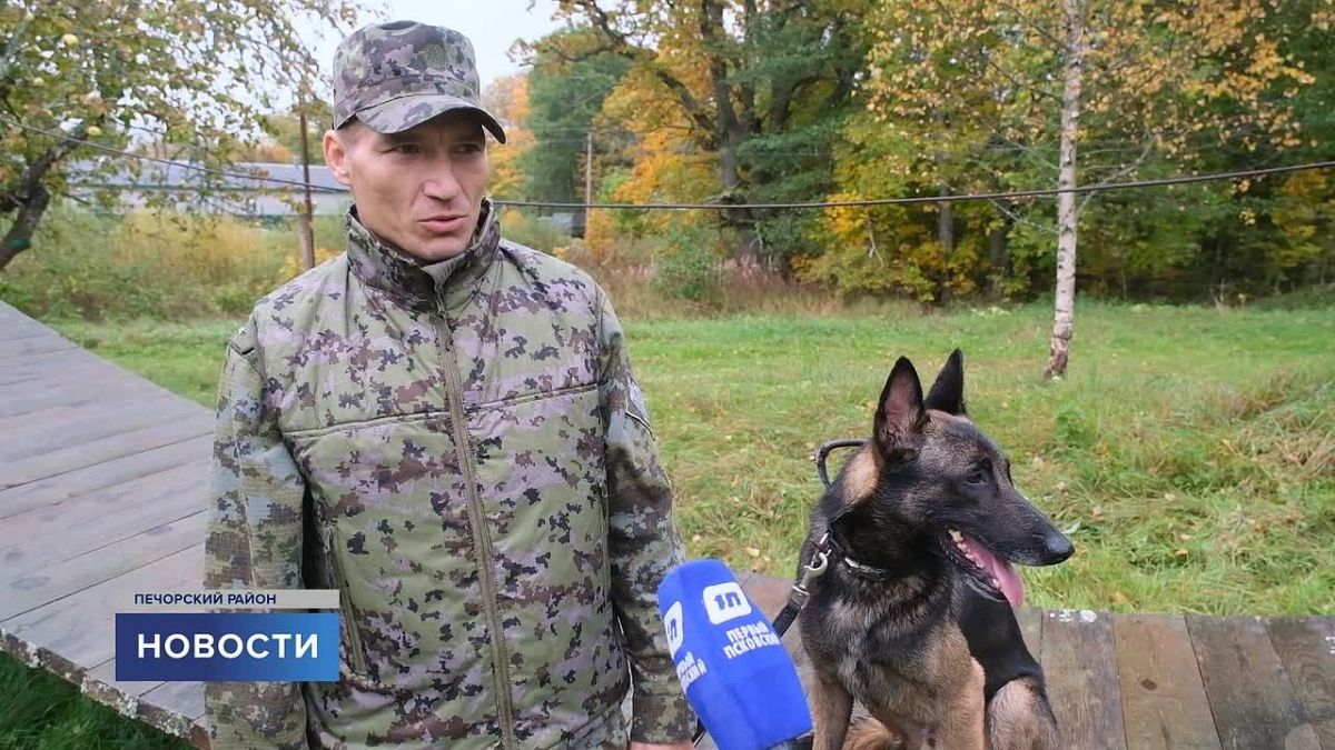 Они не говорят, но понимают с полуслова