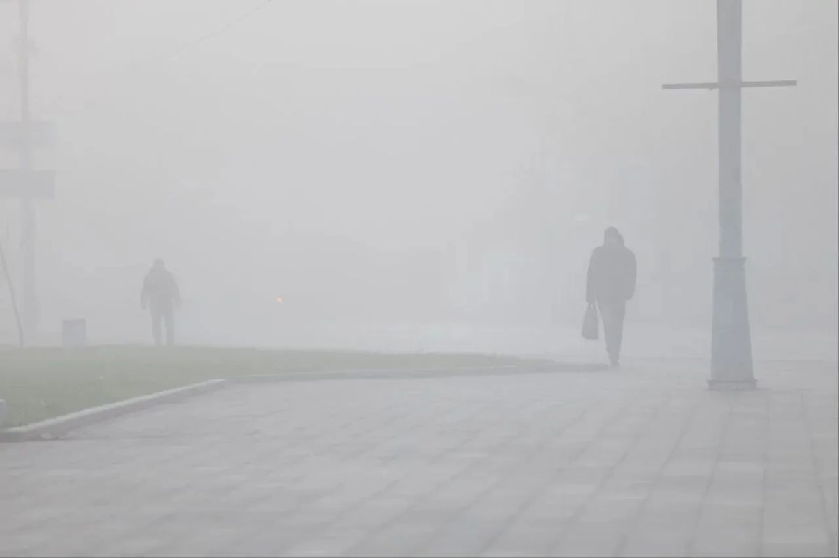 Внимание, водители. Районы Псковской области накрыл туман