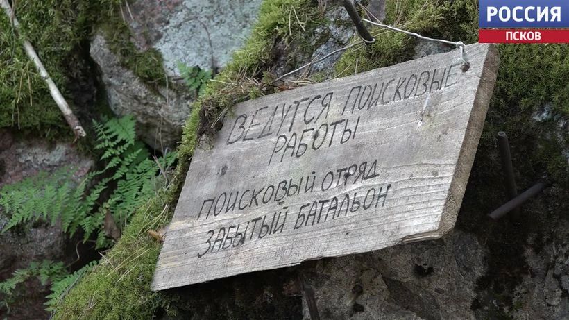 ДОТ, останки и личные вещи: что нашли поисковики под Себежем