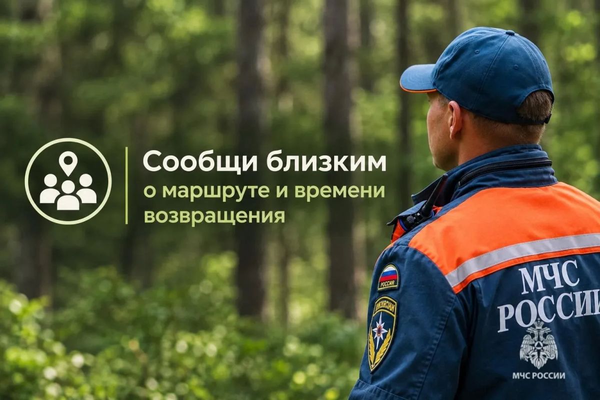 Тихая охота без риска: как не потеряться в лесу Тихая охота без риска: как не потеряться в лесу