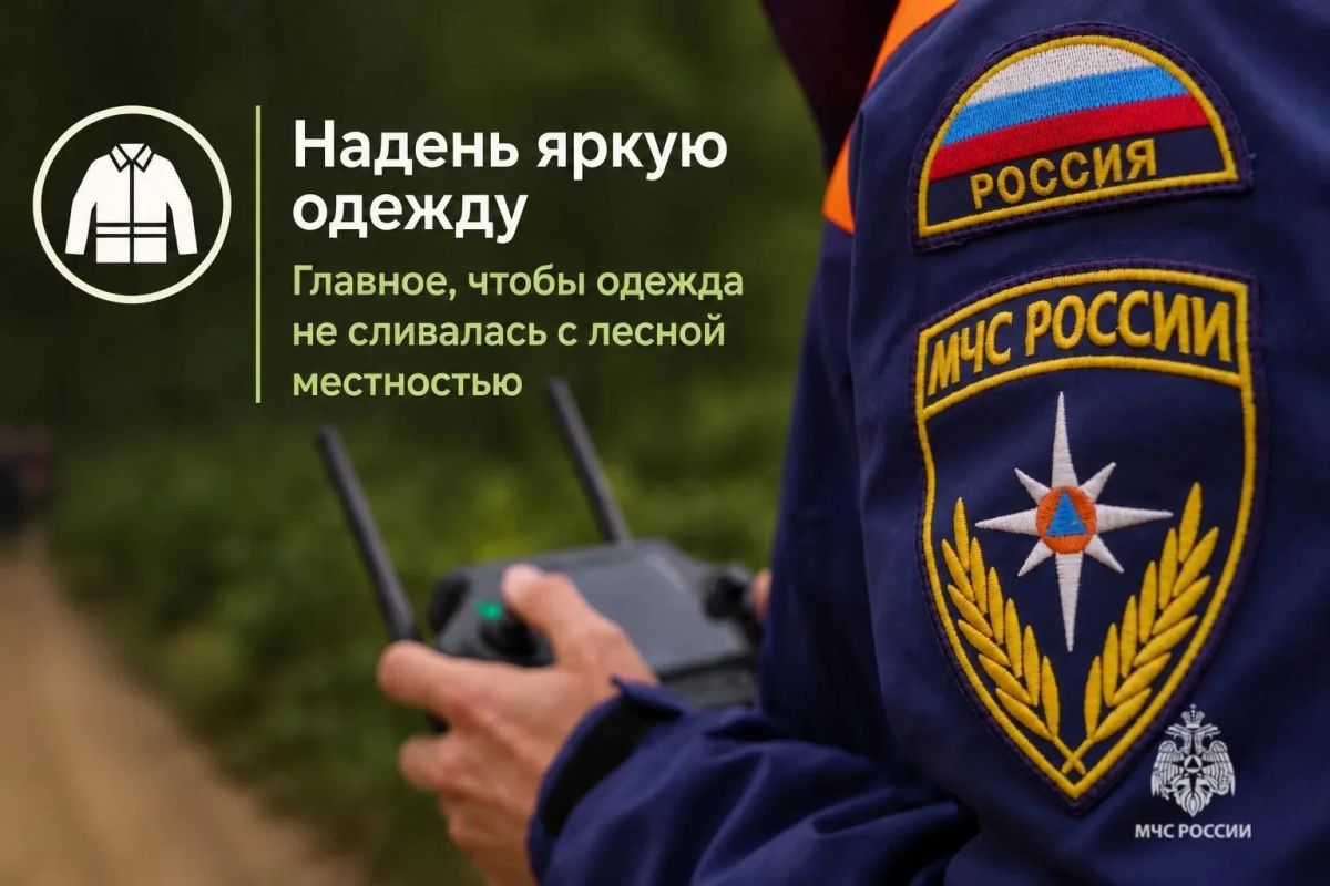 Тихая охота без риска: как не потеряться в лесу Тихая охота без риска: как не потеряться в лесу