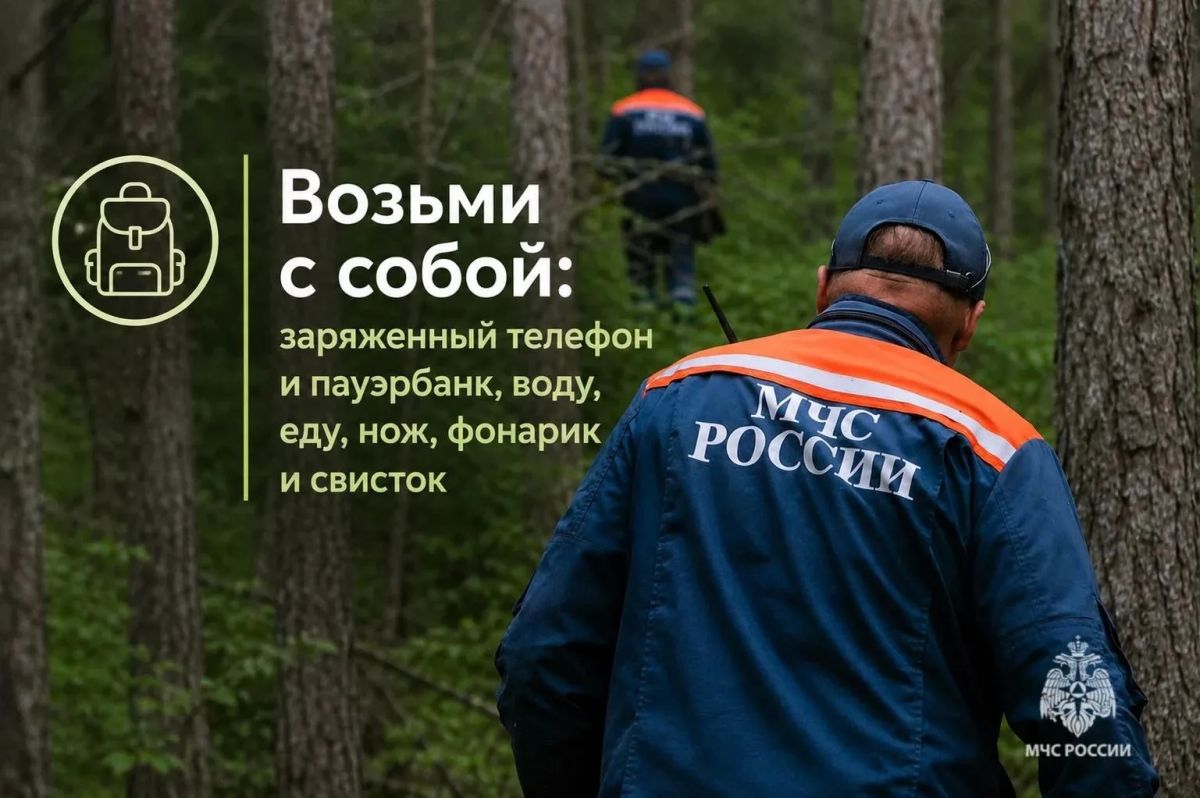 Тихая охота без риска: как не потеряться в лесу Тихая охота без риска: как не потеряться в лесу