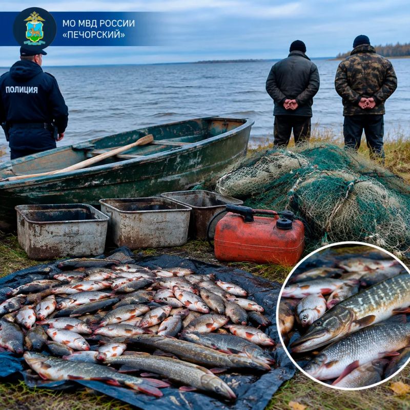 В Печорском муниципальном округе выявлен факт незаконной добычи водных биоресурсов