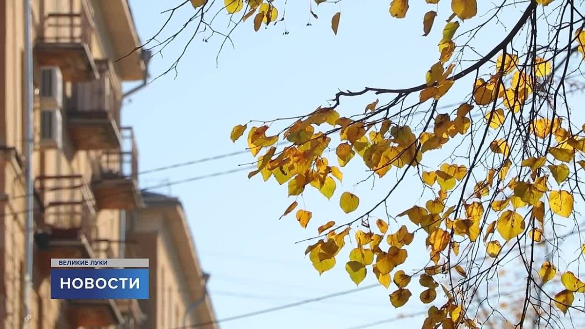 Ко Дню отца «Первый Псковский» спросил у великолучан: каким должен быть настоящий отец?