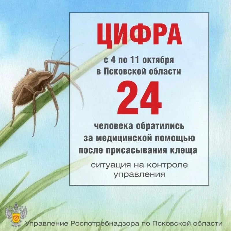 С начала сезона в медицинские организации Псковской области с жалобами на присасывание клещей обратились 2418 человек