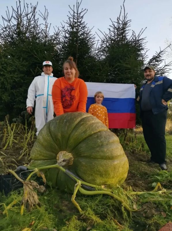 Гигантская тыква «Главбух» и кабачок «Император» с псковских грядок признаны самыми огромными в России! Гигантская тыква «Главбух» и кабачок «Император» с псковских грядок признаны самыми огромными в России!