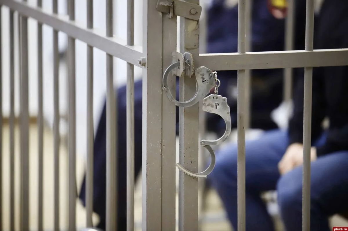 ЧП в Петербурге: 38-летнего псковича обвинили в попытке похищения 9-летней девочки