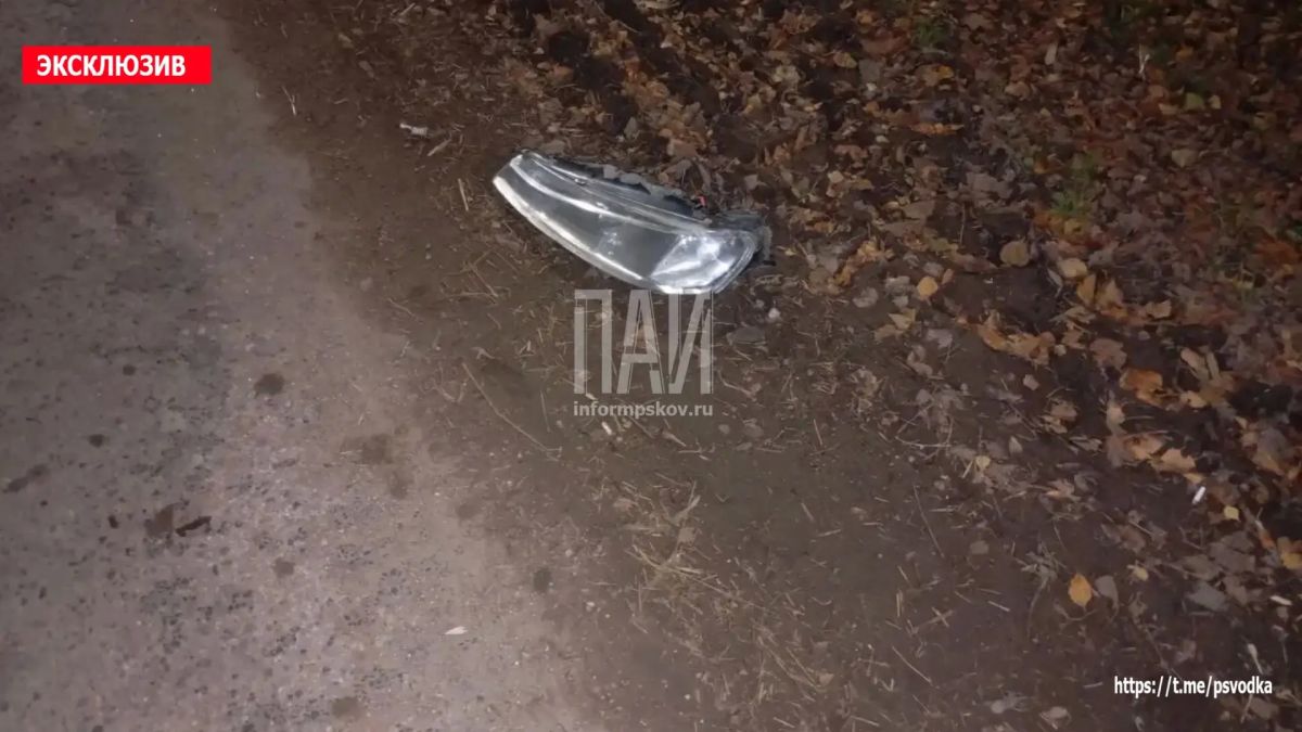 В Псковском районе, в деревне Похвальщина у дома 1в, водитель автомобиля, по предварительным данным, находившийся в состоянии алкогольного опьянения, совершил наезд на пешехода и столкновение с опорой ЛЭП В Псковском районе, в деревне Похвальщина у дома 1в, водитель автомобиля, по предварительным данным, находившийся в состоянии алкогольного опьянения, совершил наезд на пешехода и столкновение с опорой ЛЭП