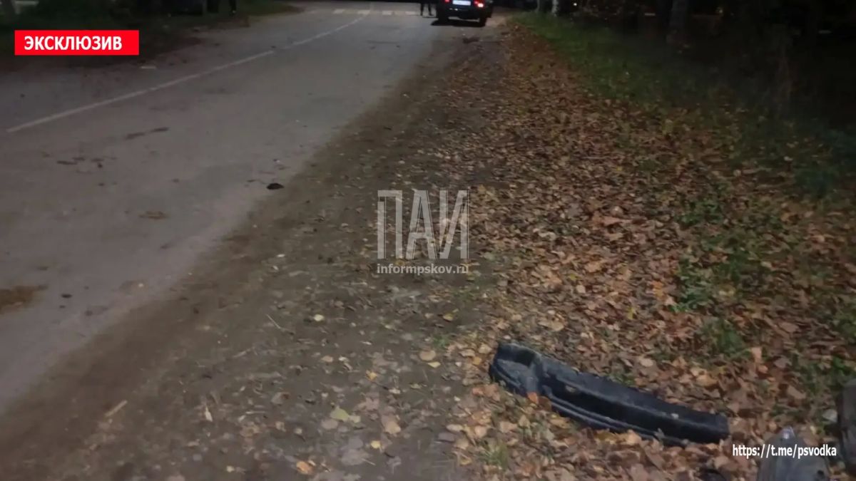 В Псковском районе, в деревне Похвальщина у дома 1в, водитель автомобиля, по предварительным данным, находившийся в состоянии алкогольного опьянения, совершил наезд на пешехода и столкновение с опорой ЛЭП В Псковском районе, в деревне Похвальщина у дома 1в, водитель автомобиля, по предварительным данным, находившийся в состоянии алкогольного опьянения, совершил наезд на пешехода и столкновение с опорой ЛЭП