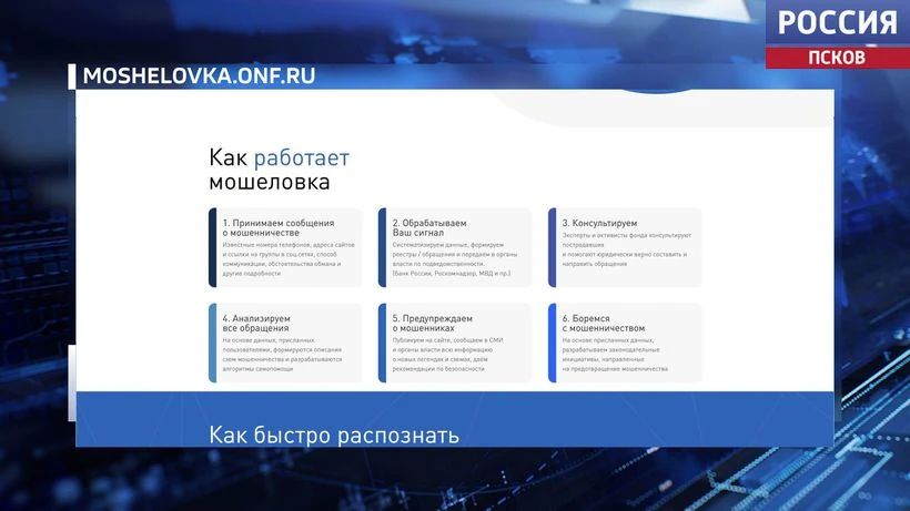 Сезонные схемы мошенников: от отопления до "Черной пятницы"