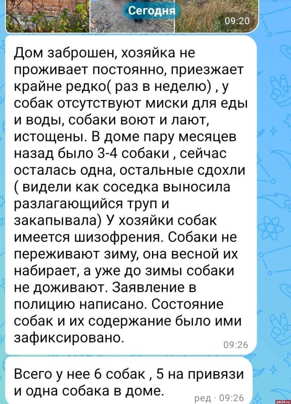 «Концлагерь безумной собирательницы»: в гдовской деревне морят голодом шесть собак «Концлагерь безумной собирательницы»: в гдовской деревне морят голодом шесть собак