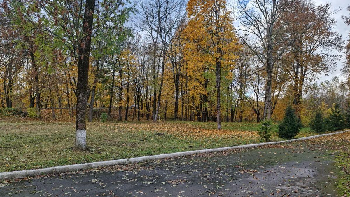 Как преобразилась Аллея Памяти в Опочке: фото «До» и «После» Как преобразилась Аллея Памяти в Опочке: фото «До» и «После»